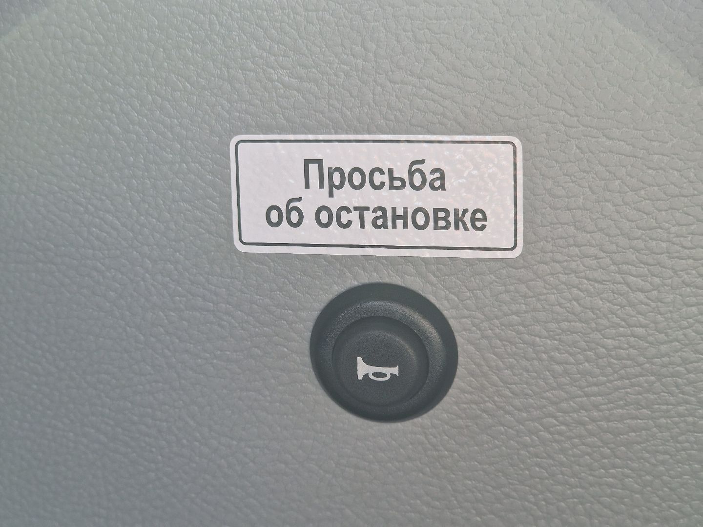 воскресенск, школьный автобус,