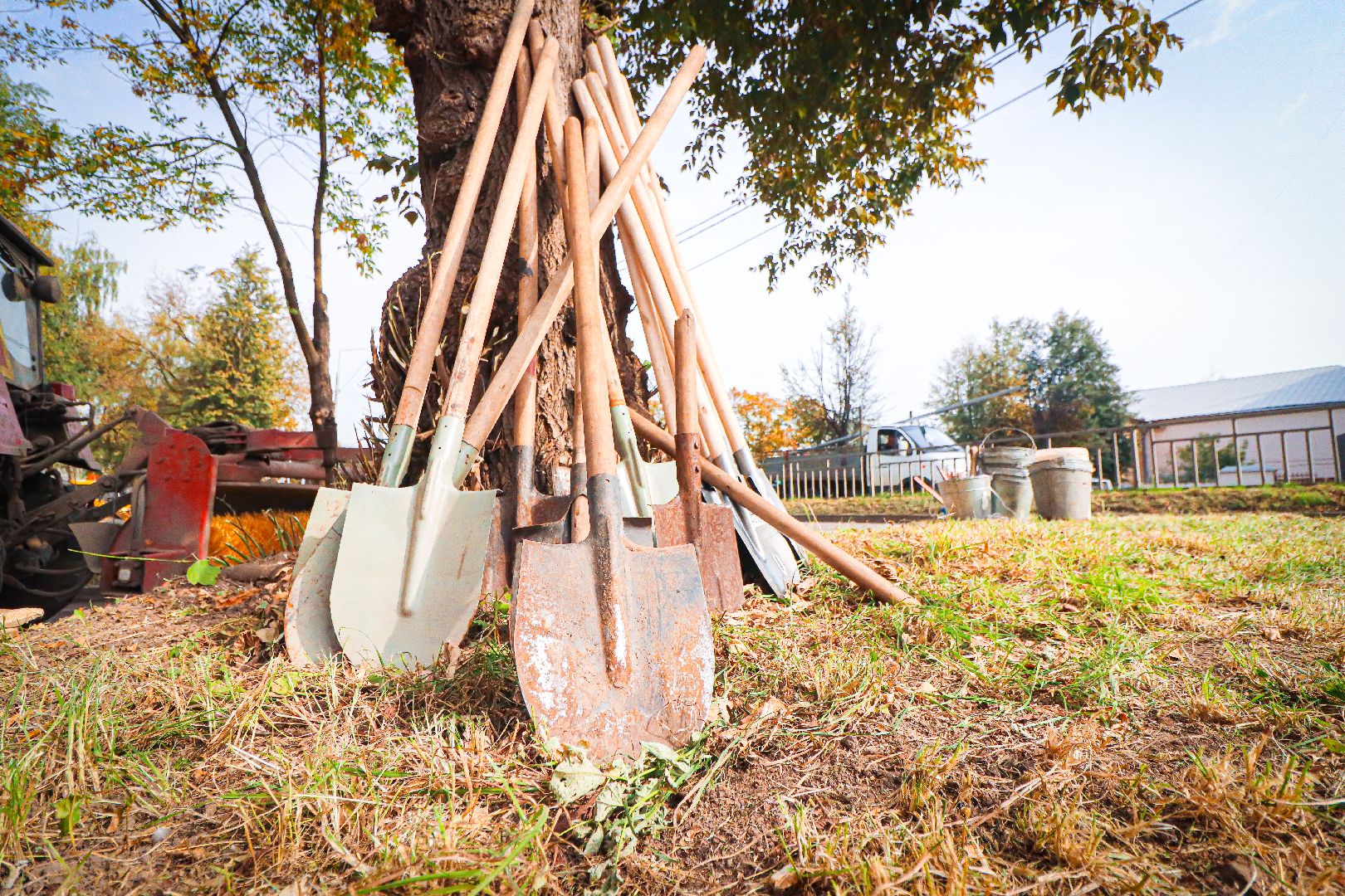 клин, общество, экология, высадка деревьев, дети, подмосковье,