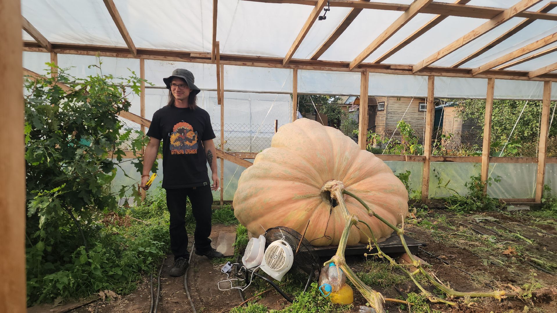 Электрогорск , Рекорд, Тыква ,