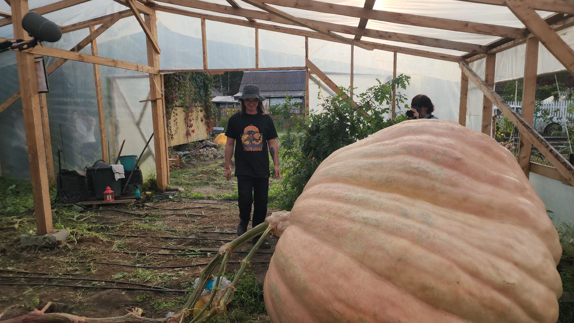 Электрогорск , Рекорд, Тыква ,