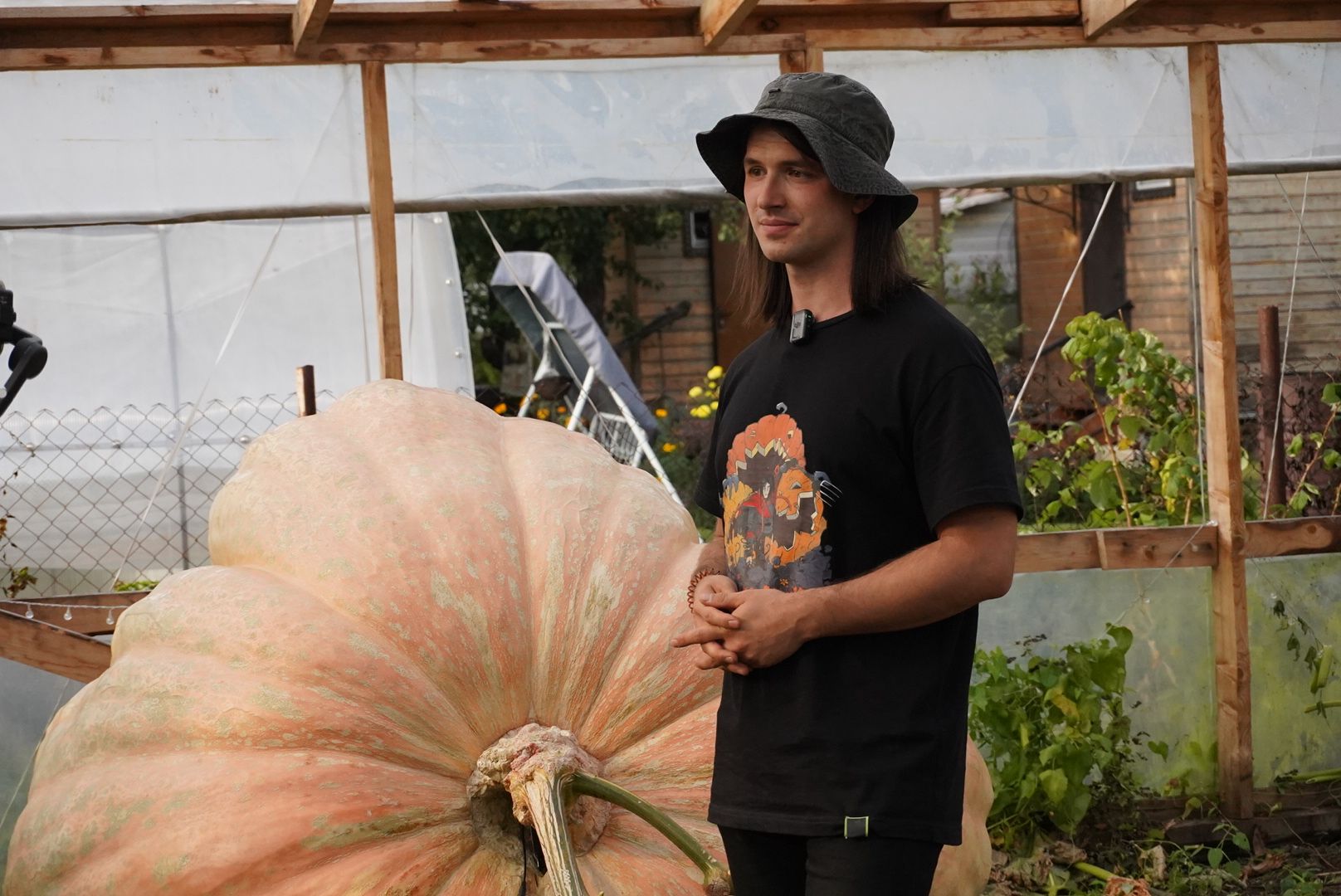 Электрогорск , Рекорд, Тыква ,