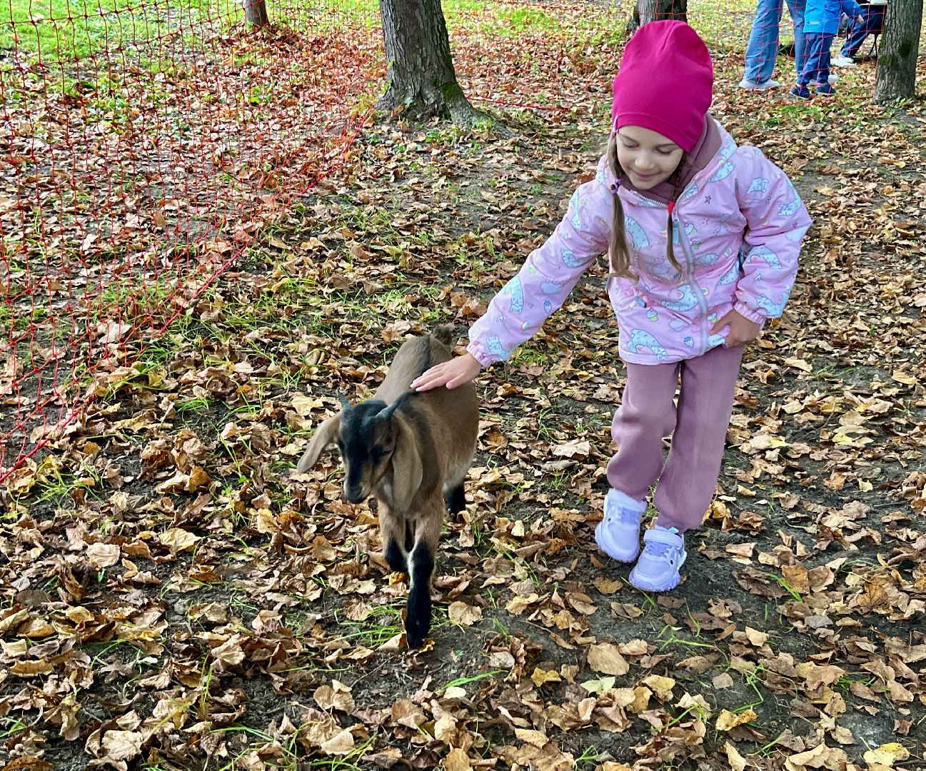наро-фоминск,наро-фоминский городской округ, осенины, парк победы наро-фоминск, цдк звезда, день осеннего равноденствия,