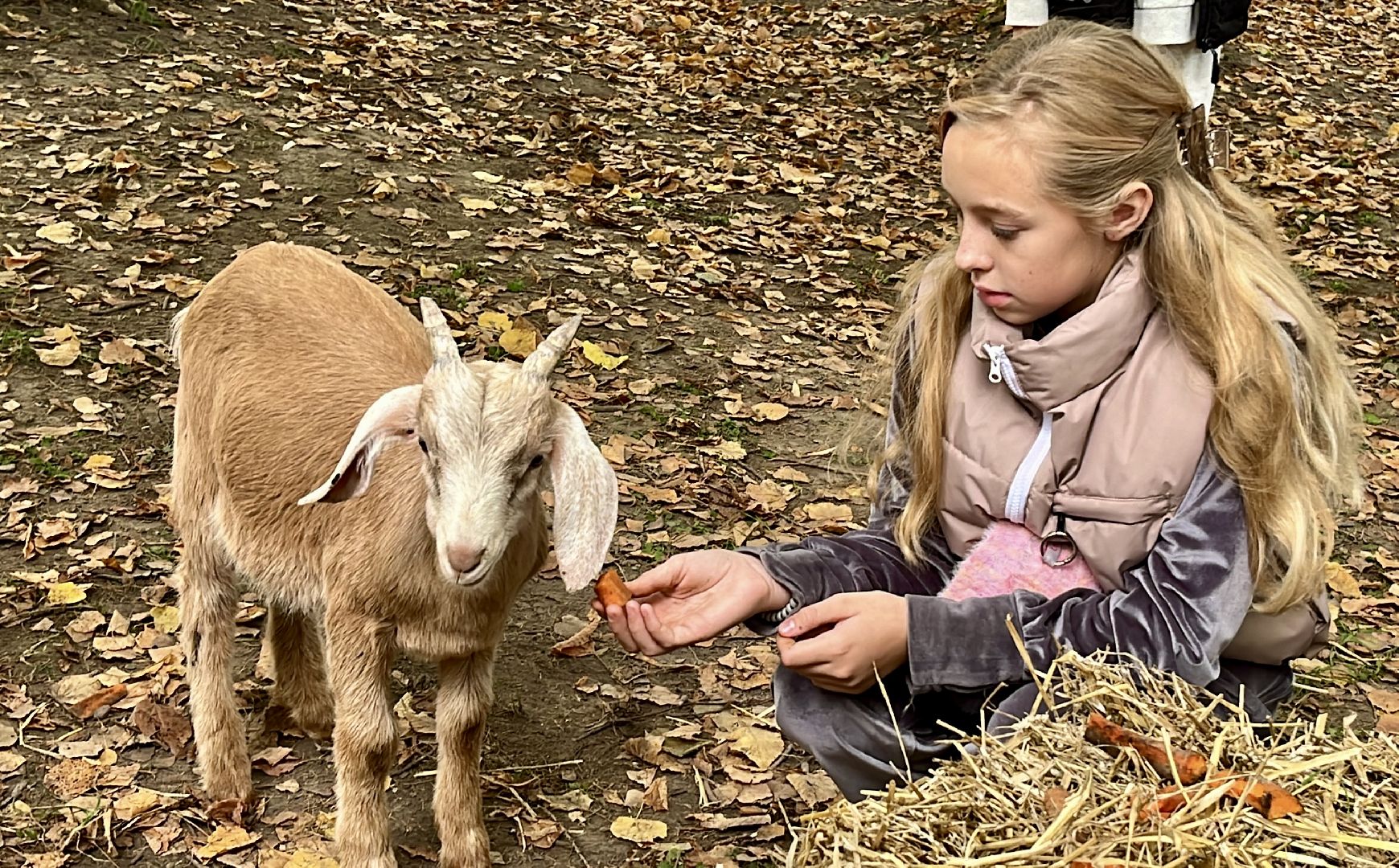 наро-фоминск,наро-фоминский городской округ, осенины, парк победы наро-фоминск, цдк звезда, день осеннего равноденствия,