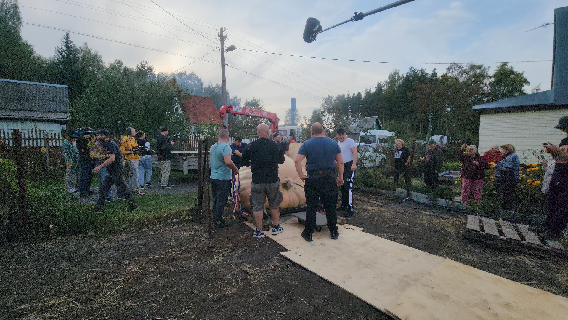 Электрогорск , Тыква , Рекорд ,