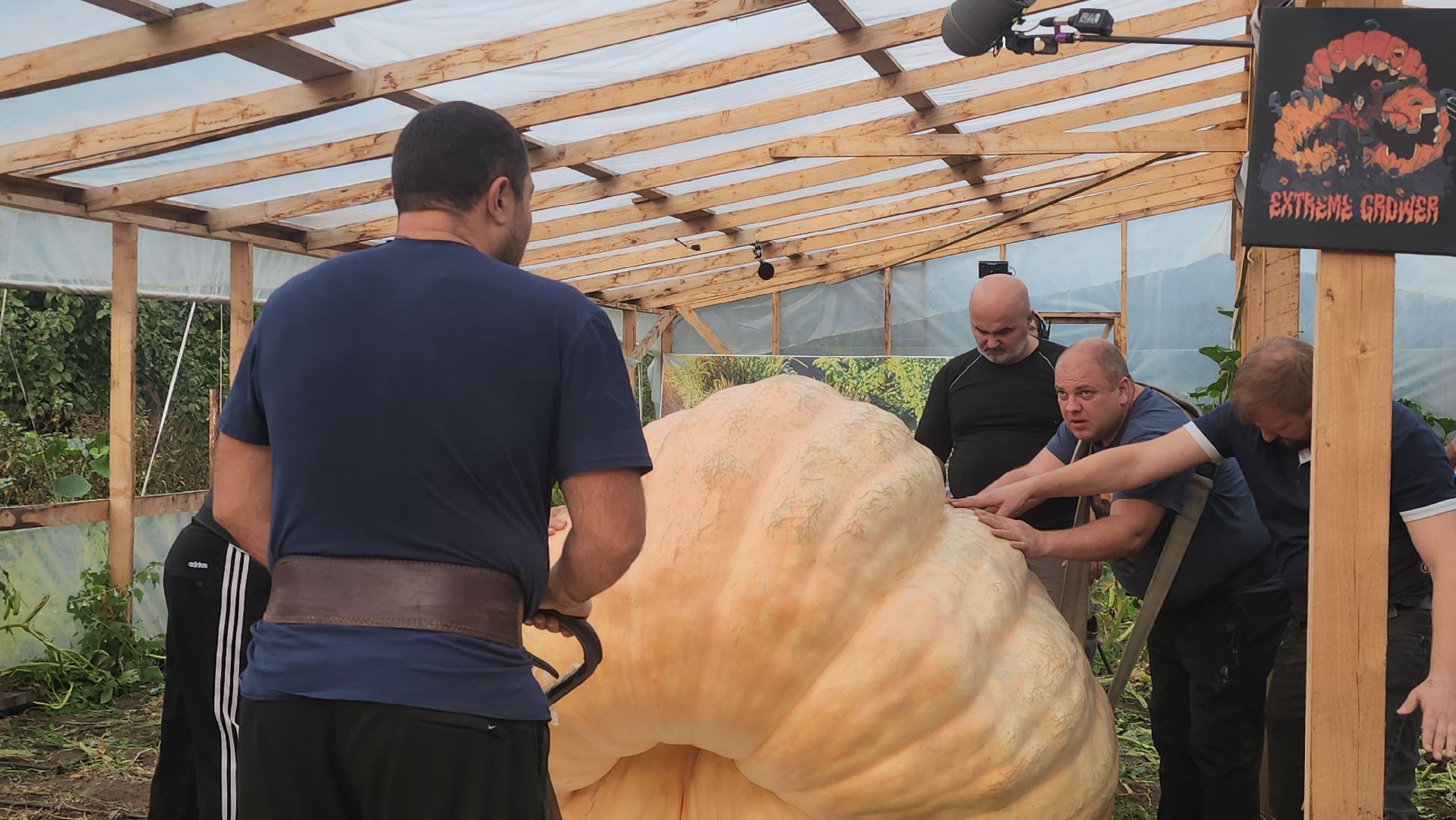 Электрогорск , Тыква , Рекорд ,