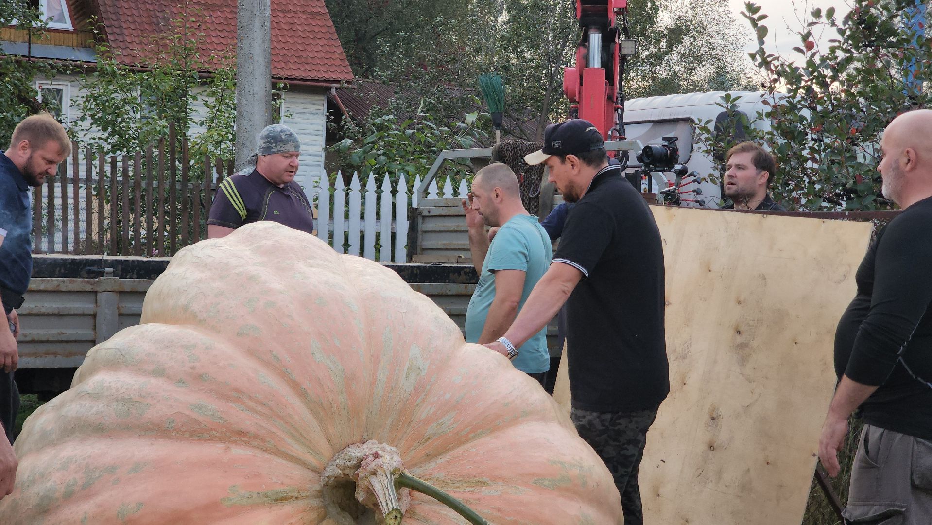 Электрогорск , Тыква , Рекорд ,