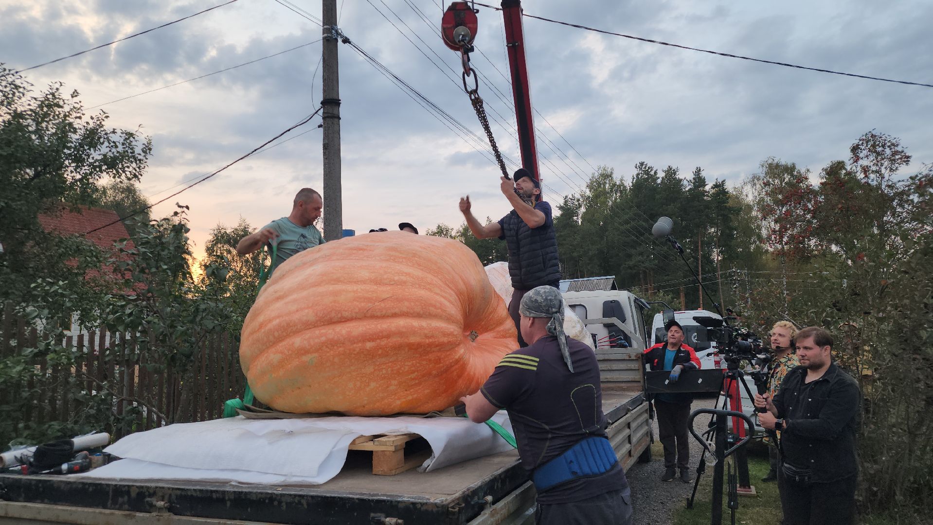 Электрогорск , Тыква , Рекорд ,