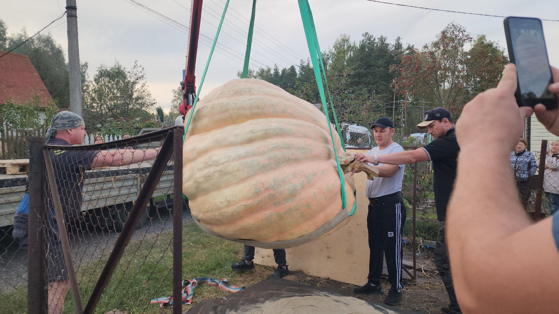 Электрогорск , Тыква , Рекорд ,