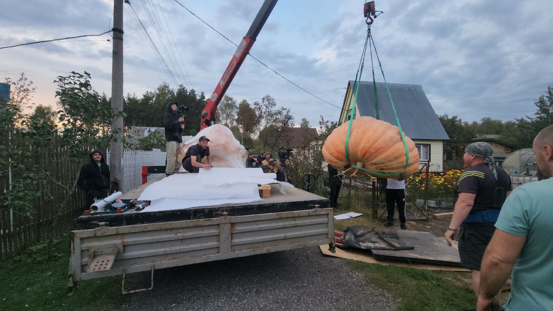 Электрогорск , Тыква , Рекорд ,