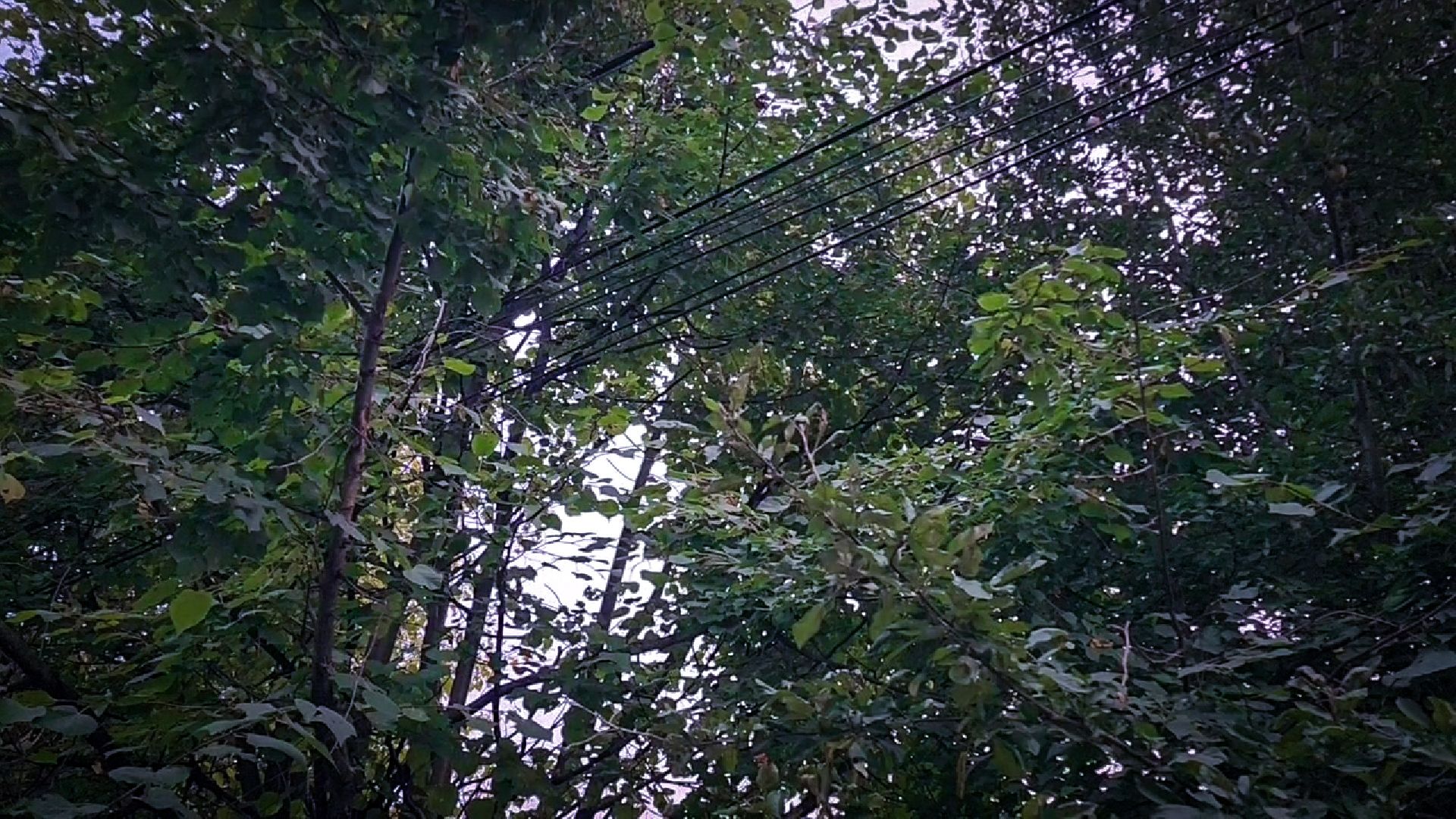 выездная администрация в бронницах, обращение жителей к администрации , вопросы благоустройства территории ,