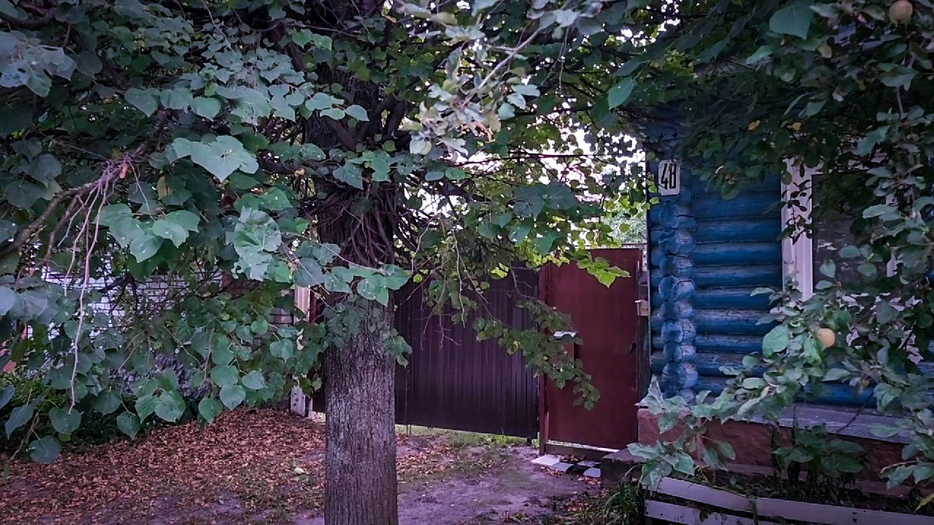 выездная администрация в бронницах, обращение жителей к администрации , вопросы благоустройства территории ,