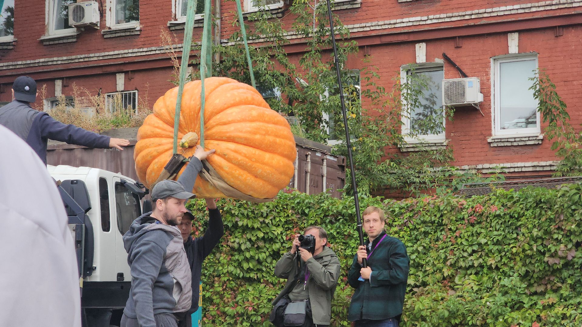 Общество , Овощи гиганты , Ботанический сад, Тыква, Рекорд, Электрогорск,