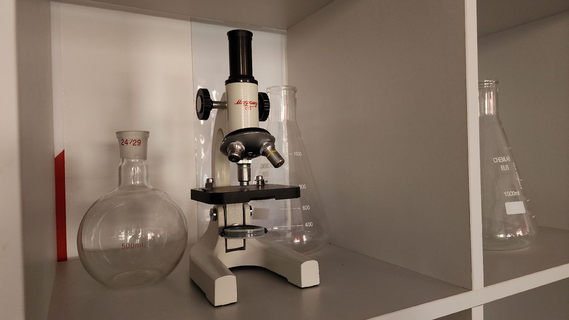 образование, точка роста, школа, лосино-петровский,