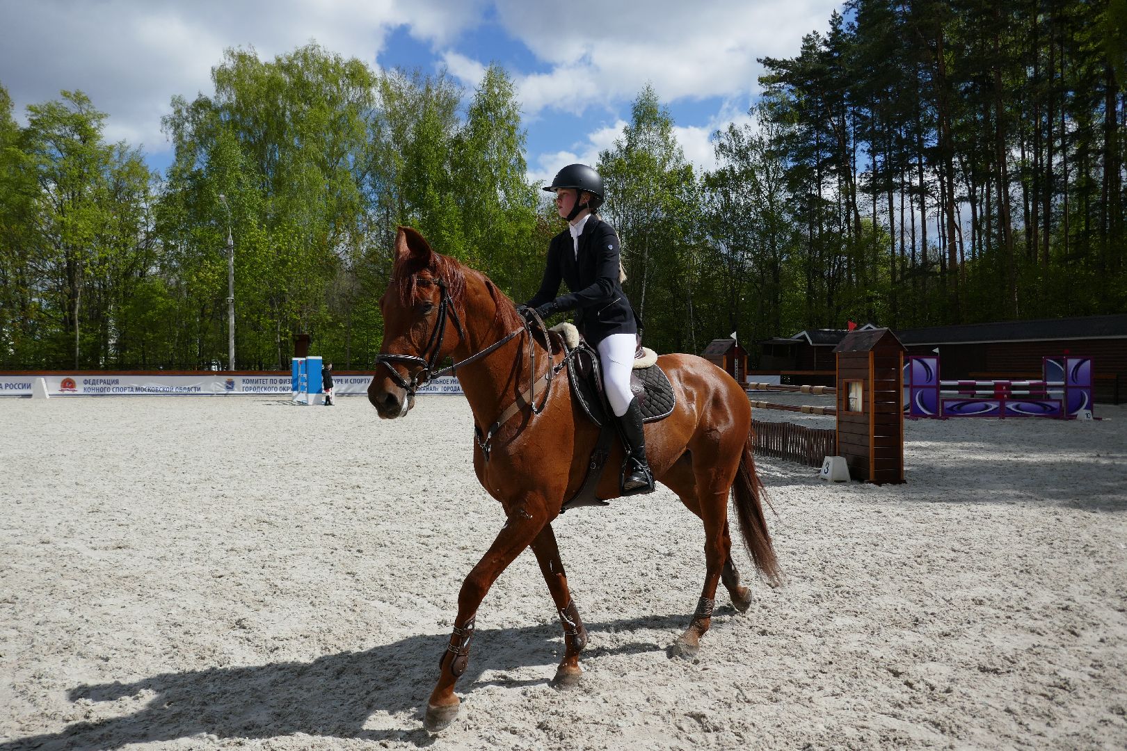 Подольск, конкур, лошади, праздник, спорт, соревнования