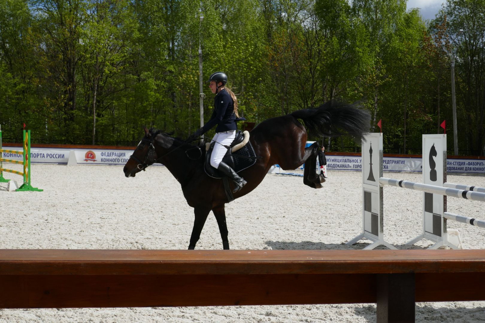 Подольск, конкур, лошади, праздник, спорт, соревнования
