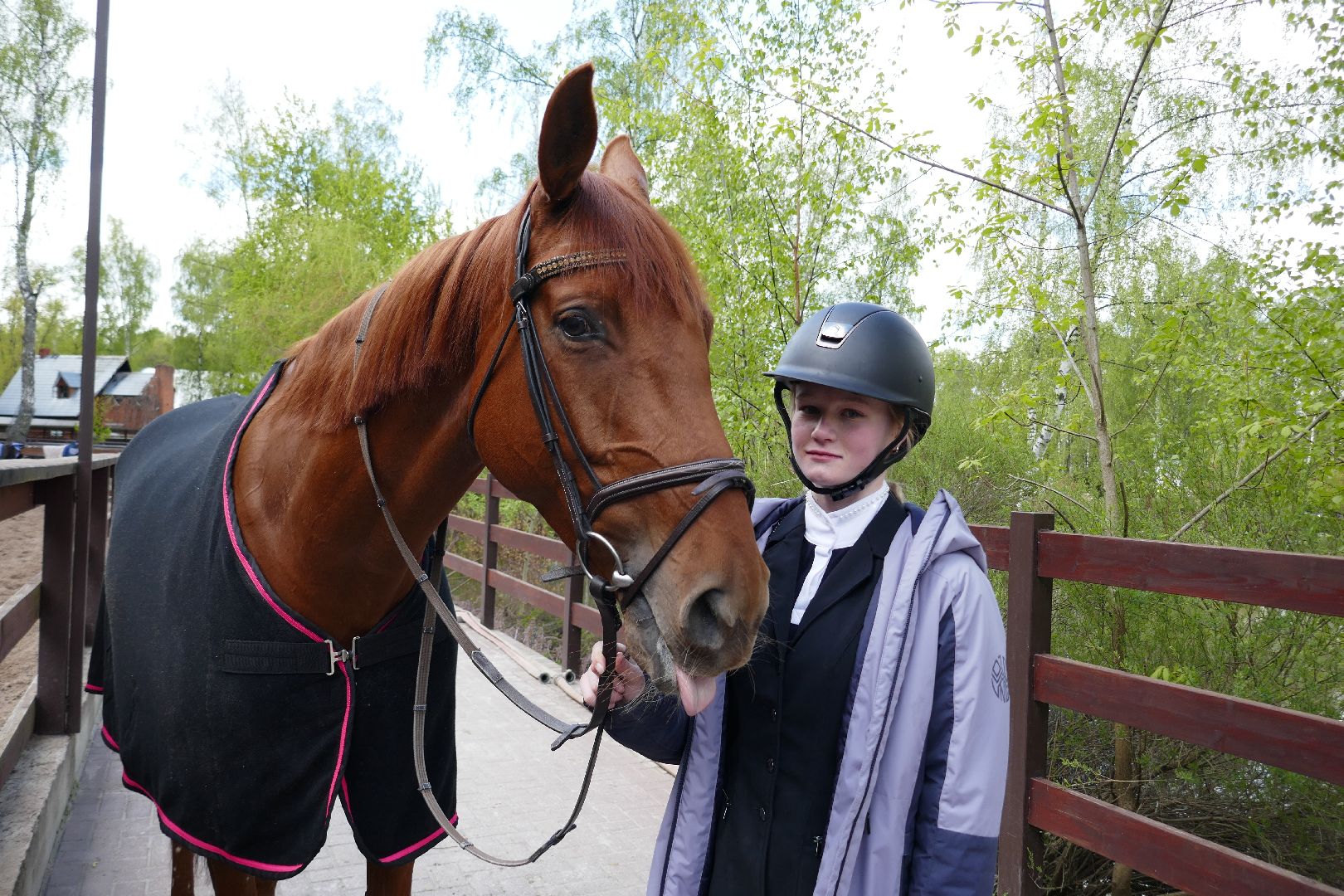 Подольск, конкур, лошади, праздник, спорт, соревнования