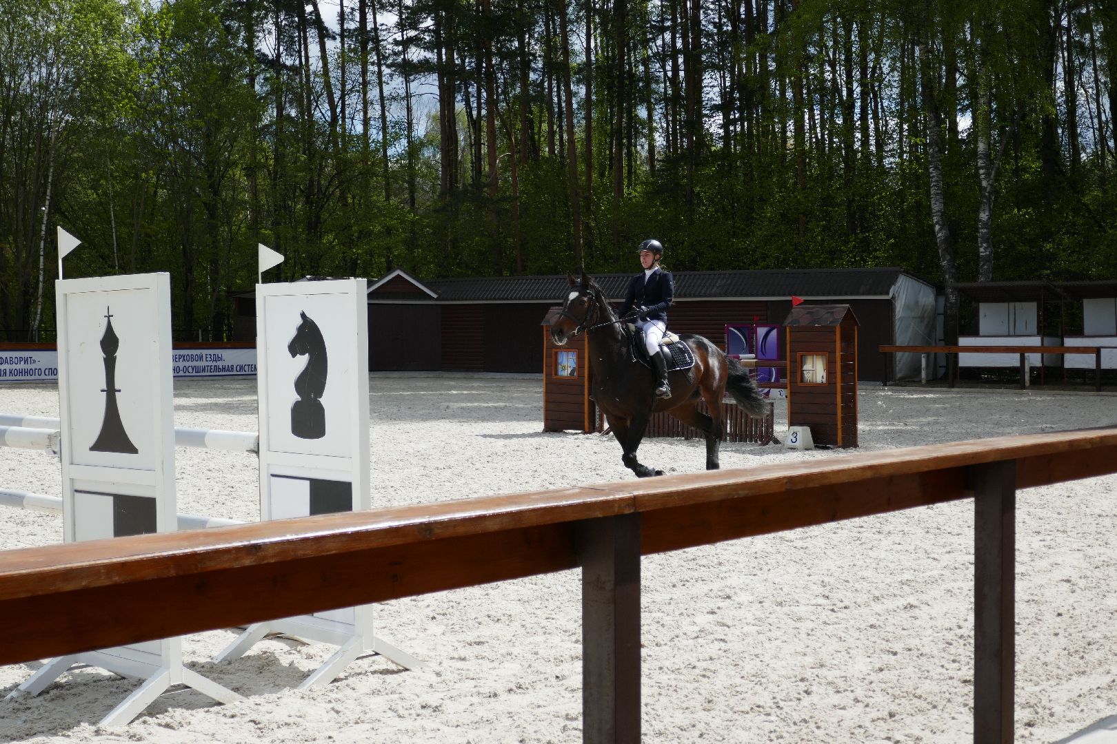 Подольск, конкур, лошади, праздник, спорт, соревнования