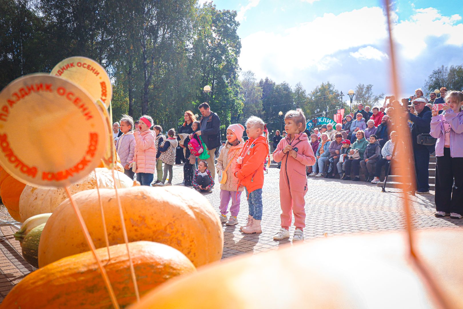 клин, общество, урожай, овощи, культура, фестивали, золотой кабачок,  подмосковье,