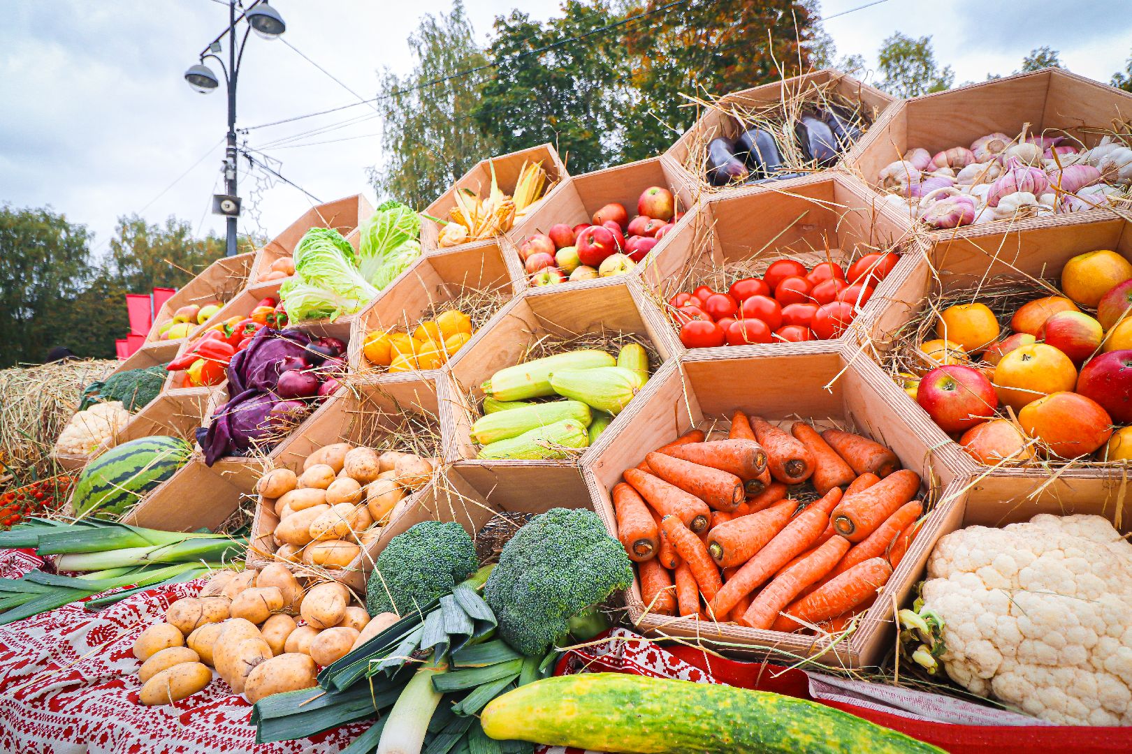 клин, общество, урожай, овощи, культура, фестивали, золотой кабачок,  подмосковье,