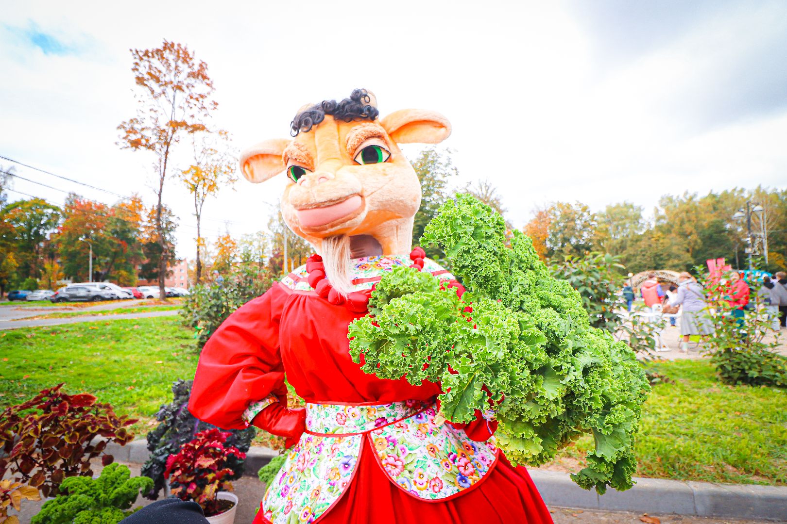 клин, общество, урожай, овощи, культура, фестивали, золотой кабачок,  подмосковье,