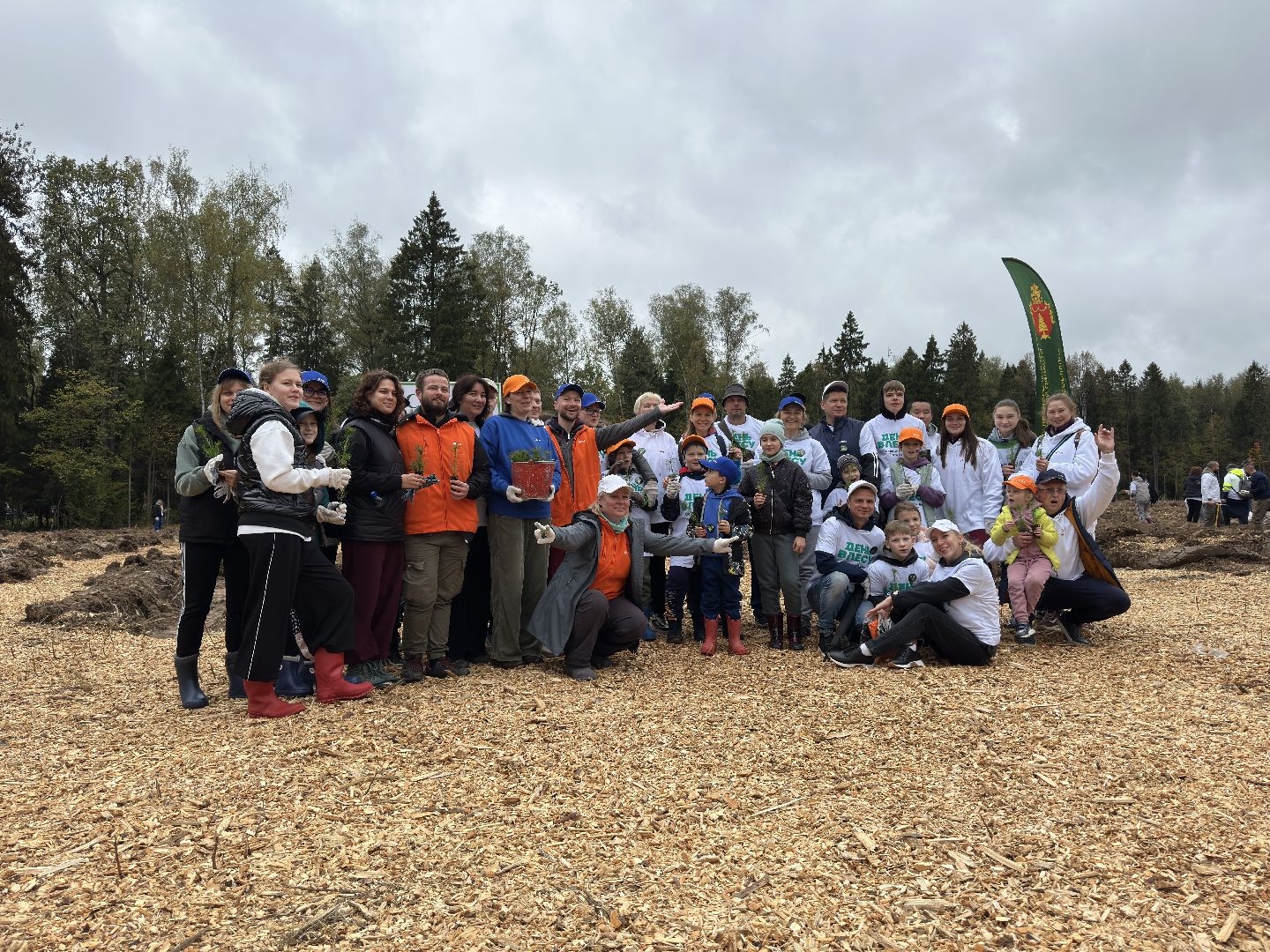 пушкинский городской округ,   день в лесу, экология, мчс, день в лесу сохраним лес вместе,