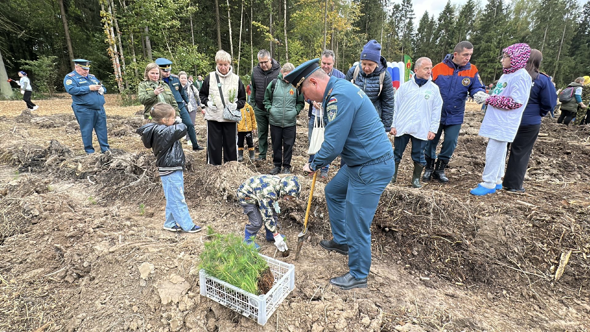 пушкинский городской округ,   день в лесу, экология, мчс, день в лесу сохраним лес вместе,