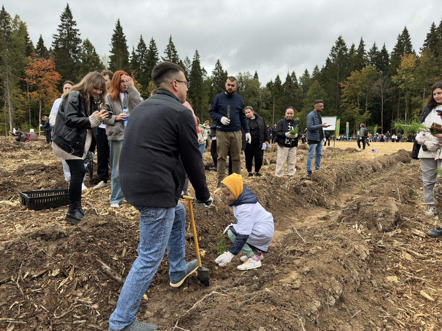 пушкинский городской округ,   день в лесу, экология, мчс, день в лесу сохраним лес вместе,