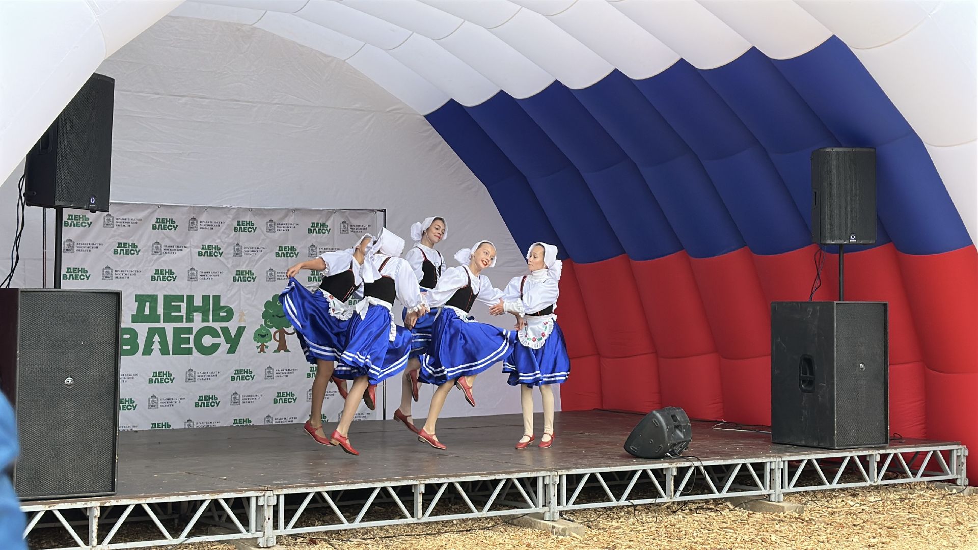 пушкинский городской округ,   день в лесу, экология, мчс, день в лесу сохраним лес вместе,