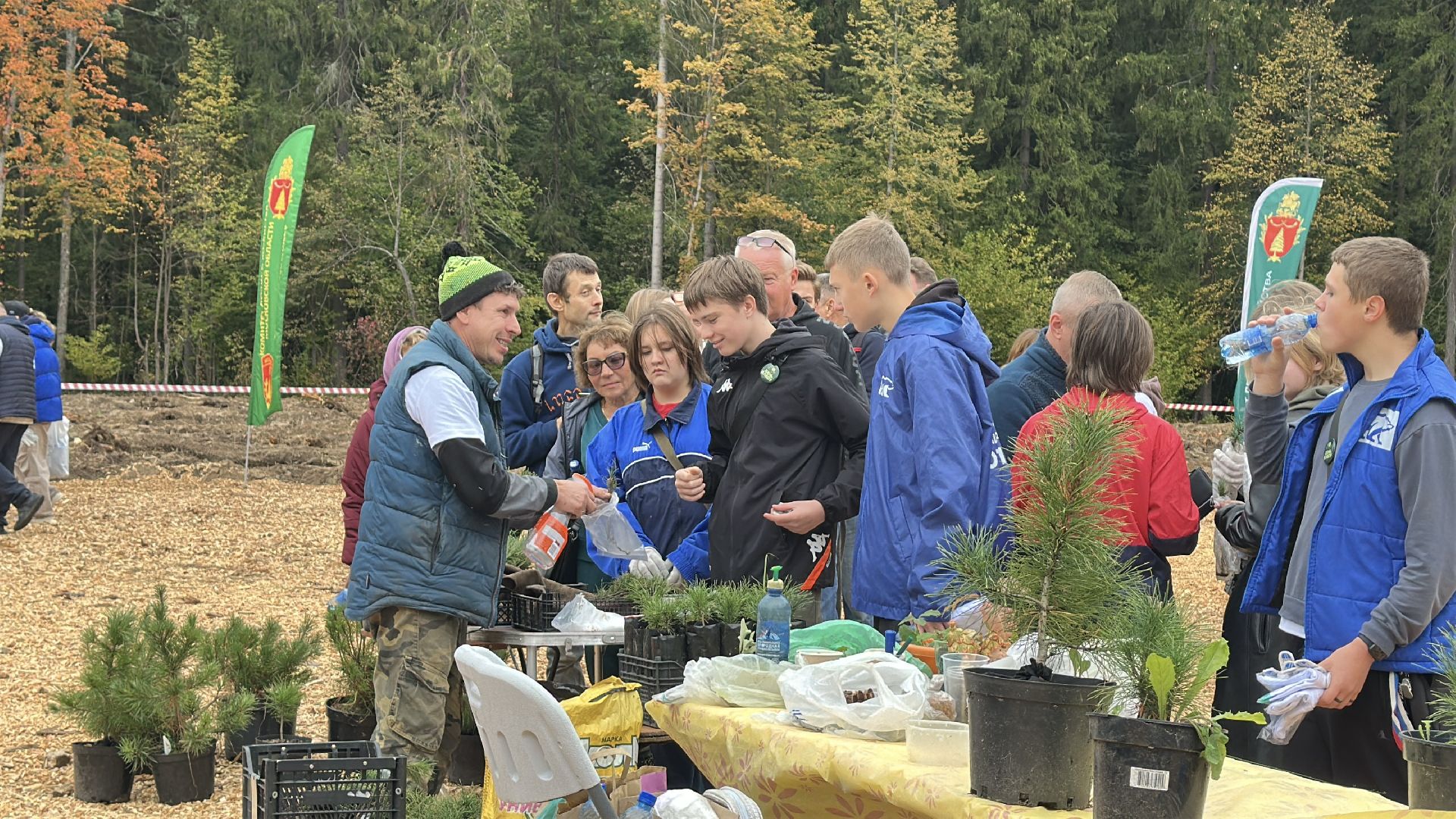 пушкинский городской округ,   день в лесу, экология, мчс, день в лесу сохраним лес вместе,