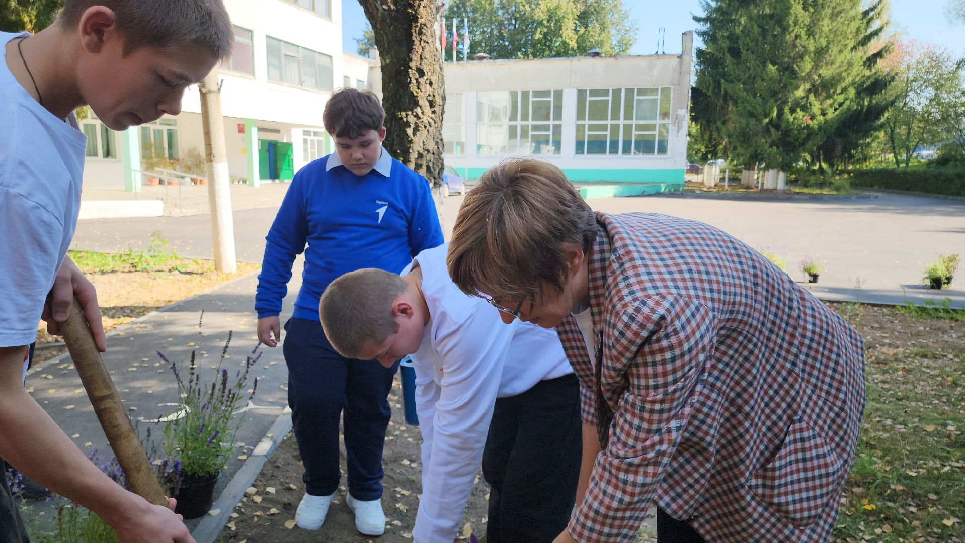 кашира, большое руново, школа, движение первых, экология, посадка растений, лечебные травы, питомник влада ковальчука,