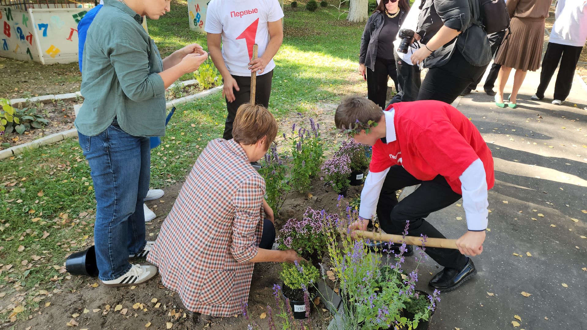 кашира, большое руново, школа, движение первых, экология, посадка растений, лечебные травы, питомник влада ковальчука,