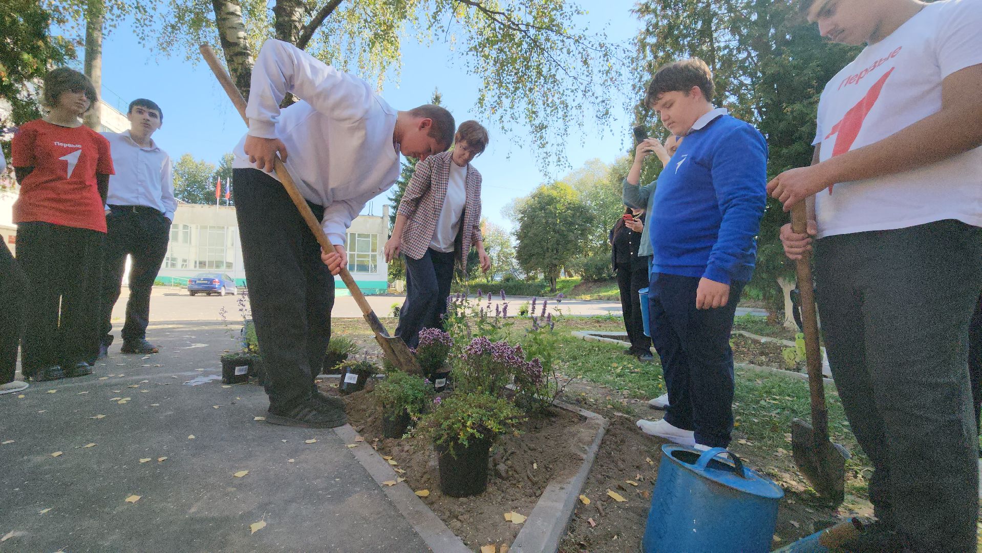 кашира, большое руново, школа, движение первых, экология, посадка растений, лечебные травы, питомник влада ковальчука,