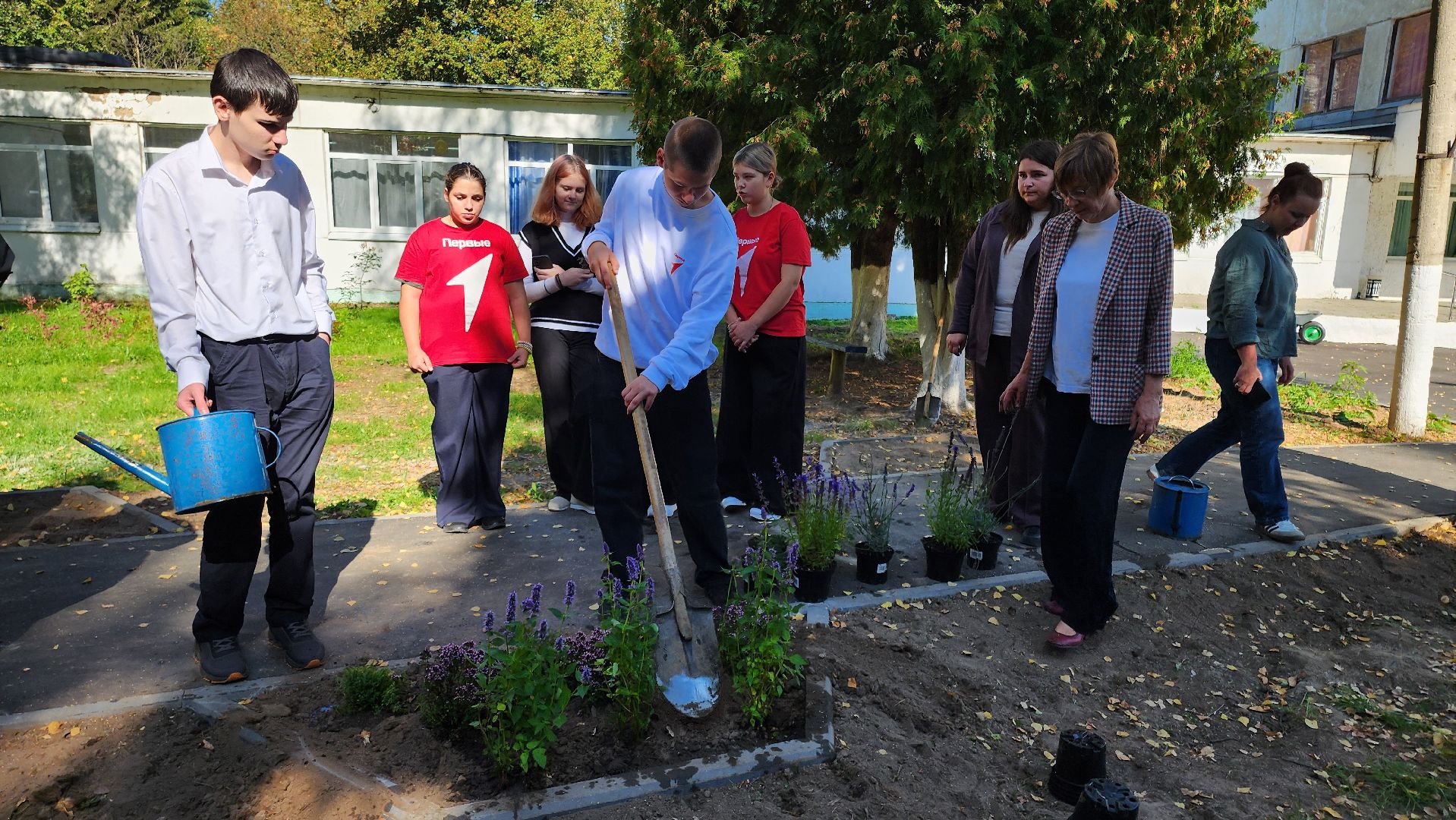 кашира, большое руново, школа, движение первых, экология, посадка растений, лечебные травы, питомник влада ковальчука,