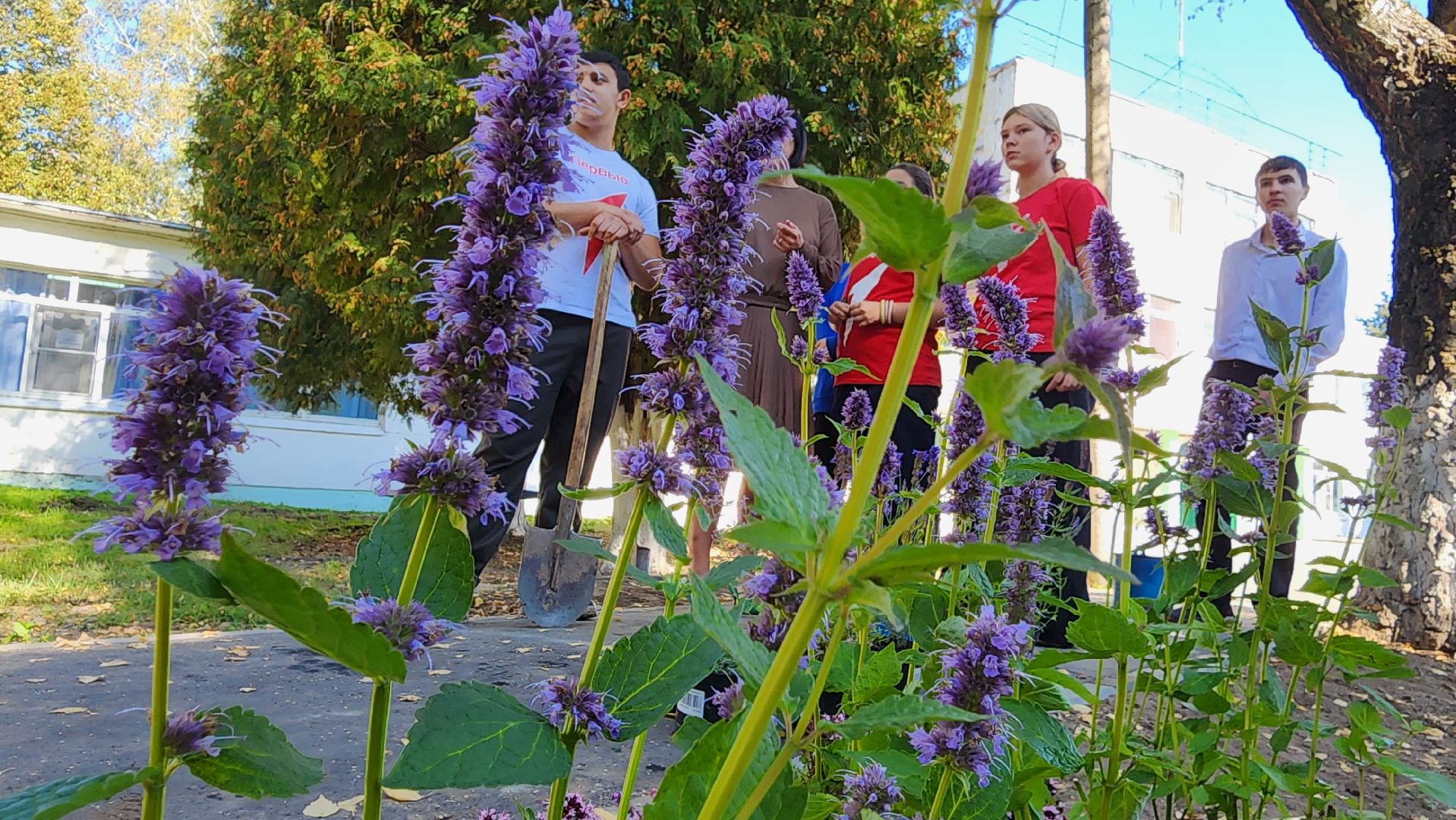 кашира, большое руново, школа, движение первых, экология, посадка растений, лечебные травы, питомник влада ковальчука,