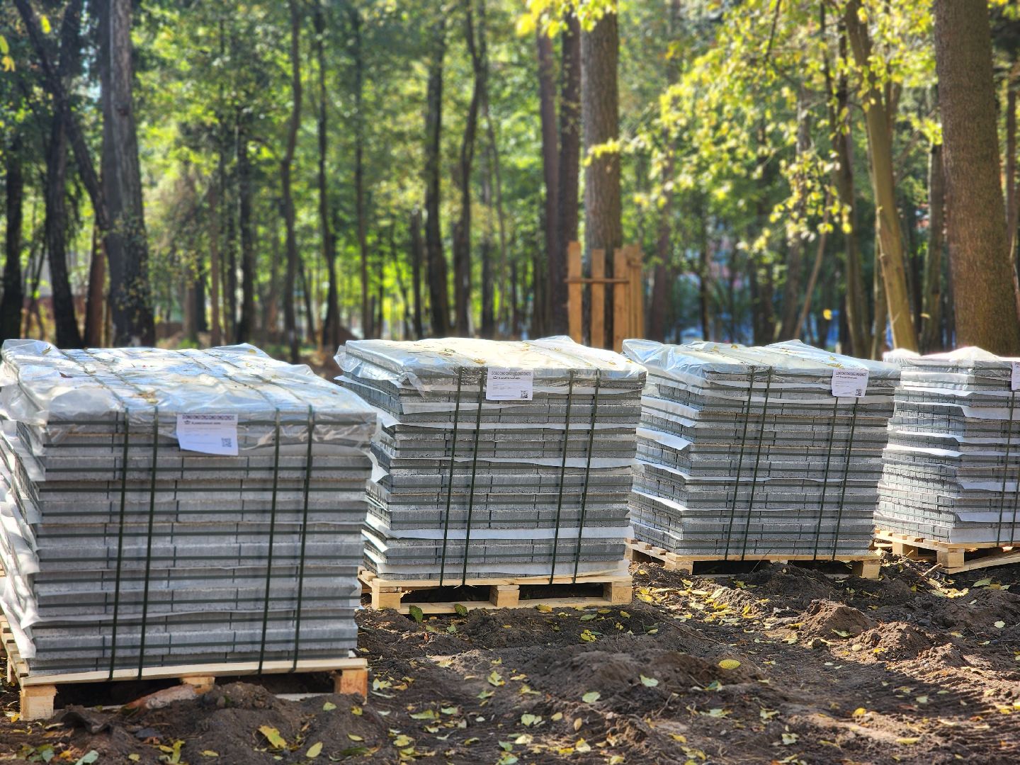 королёв, благоустройство парка папанинская дача, администрация городского округа королев, губернатор московской области,