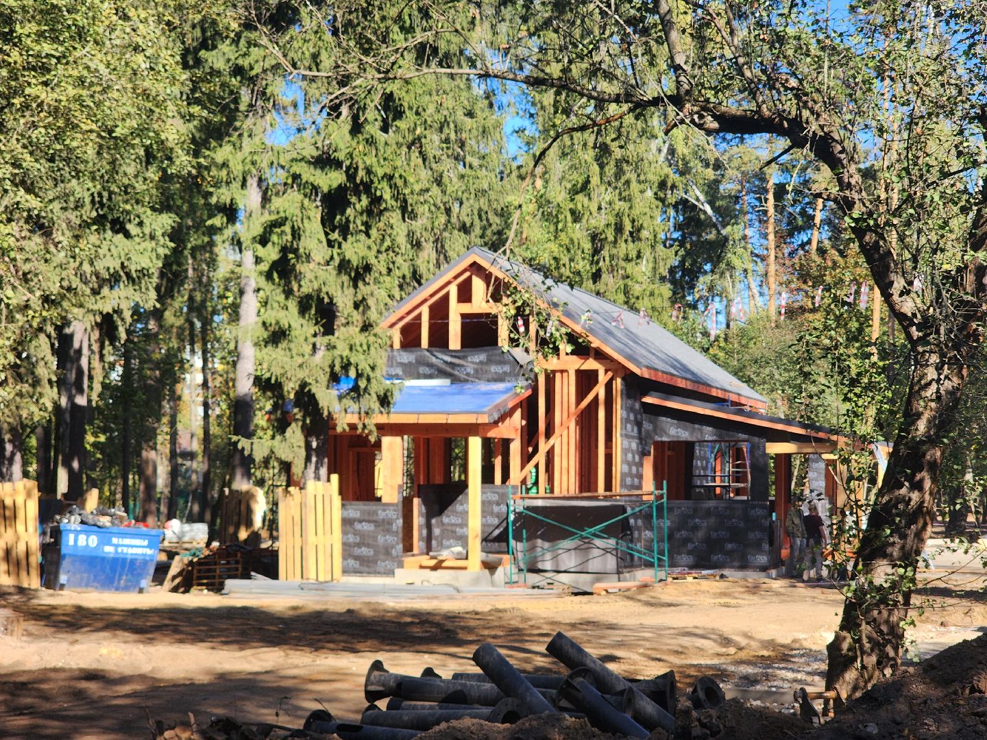 королёв, благоустройство парка папанинская дача, администрация городского округа королев, губернатор московской области,