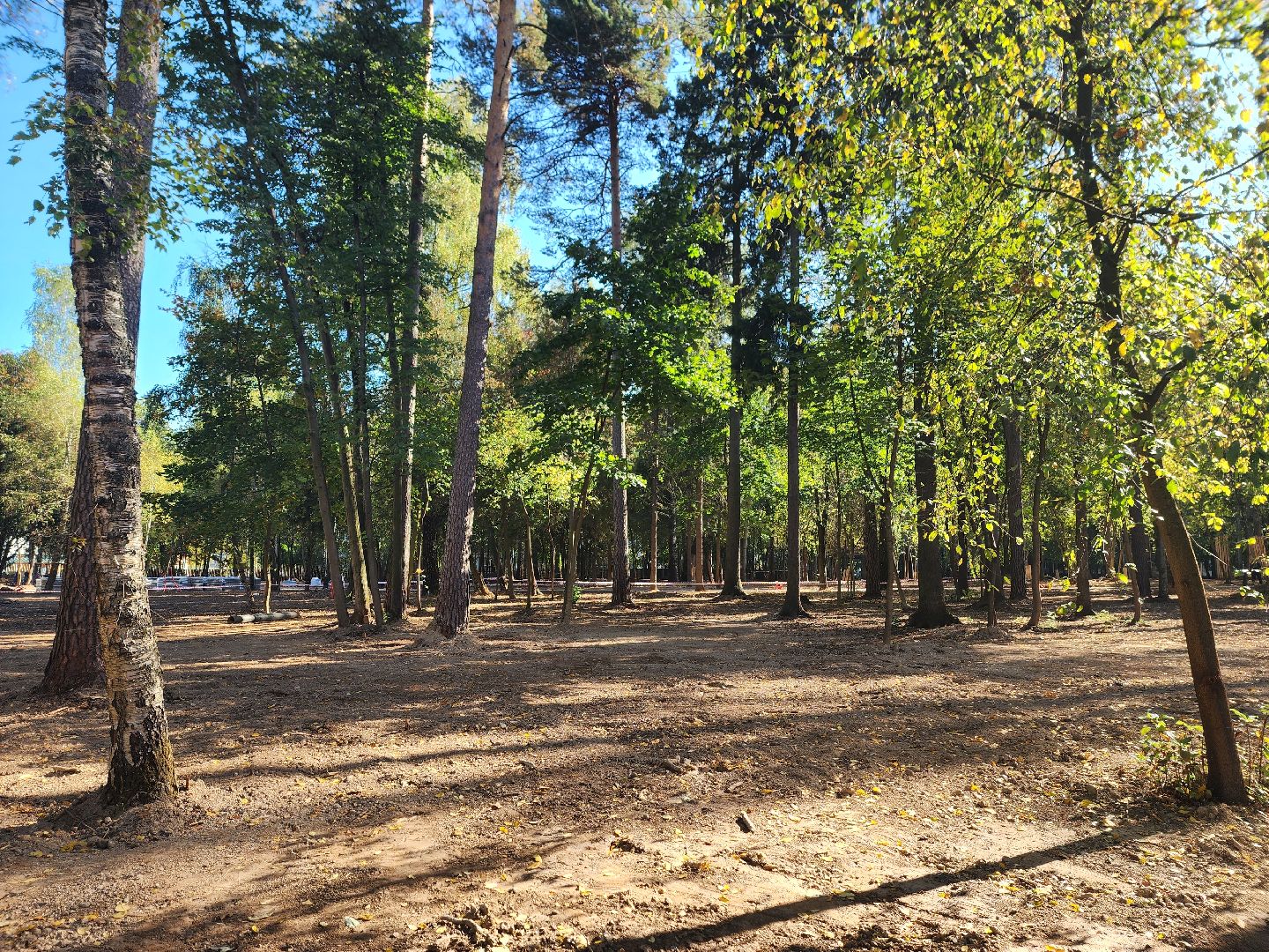 королёв, благоустройство парка папанинская дача, администрация городского округа королев, губернатор московской области,