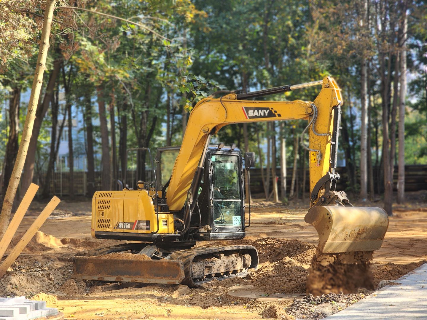 королёв, благоустройство парка папанинская дача, администрация городского округа королев, губернатор московской области,