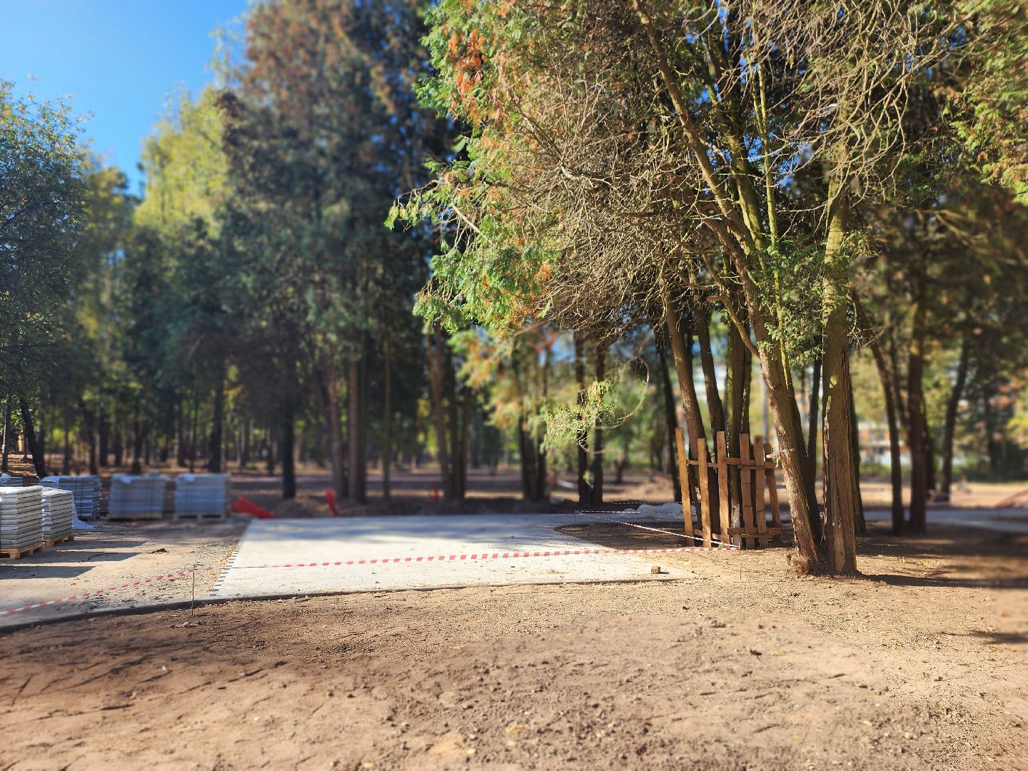 королёв, благоустройство парка папанинская дача, администрация городского округа королев, губернатор московской области,