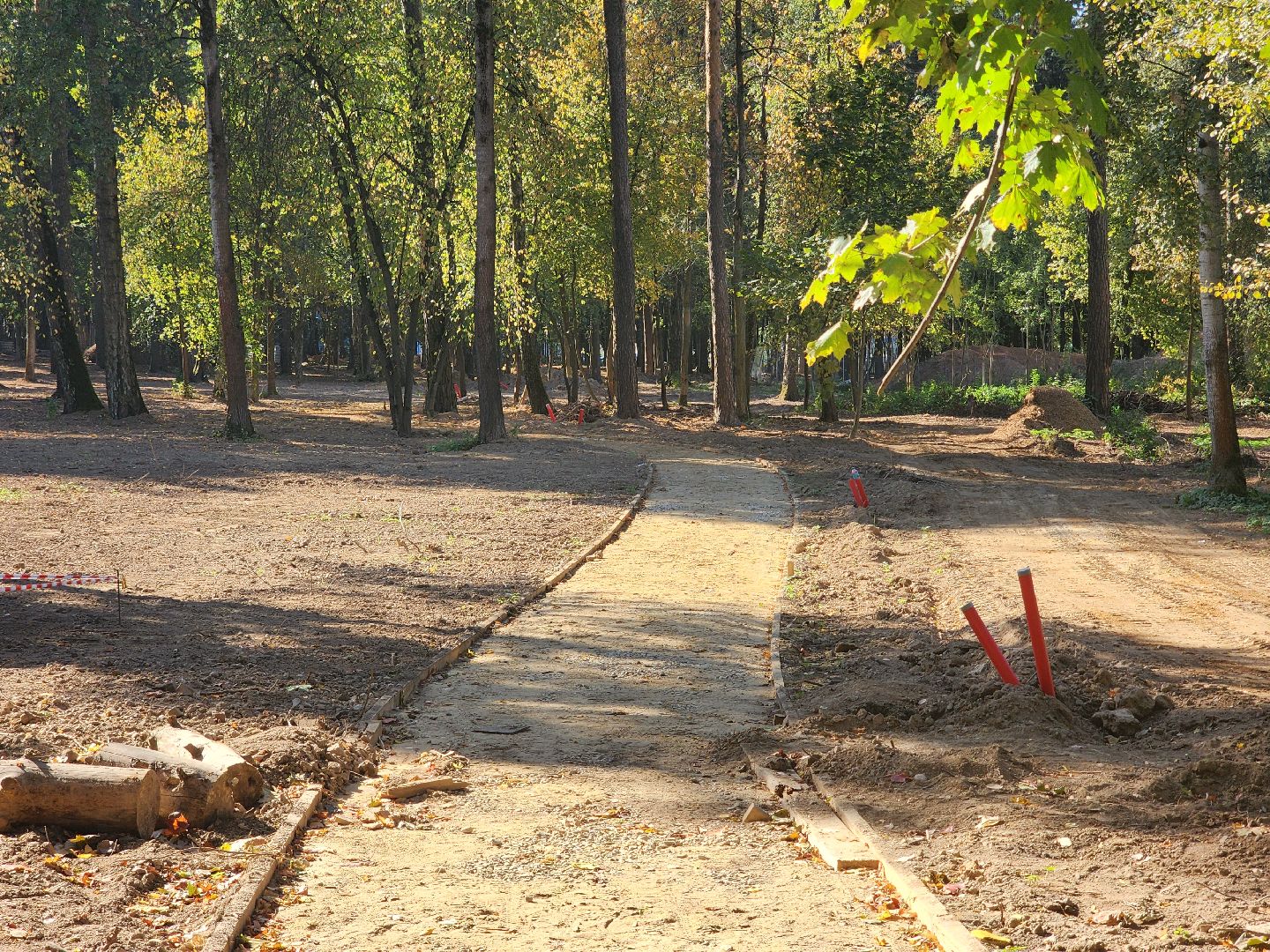 королёв, благоустройство парка папанинская дача, администрация городского округа королев, губернатор московской области,