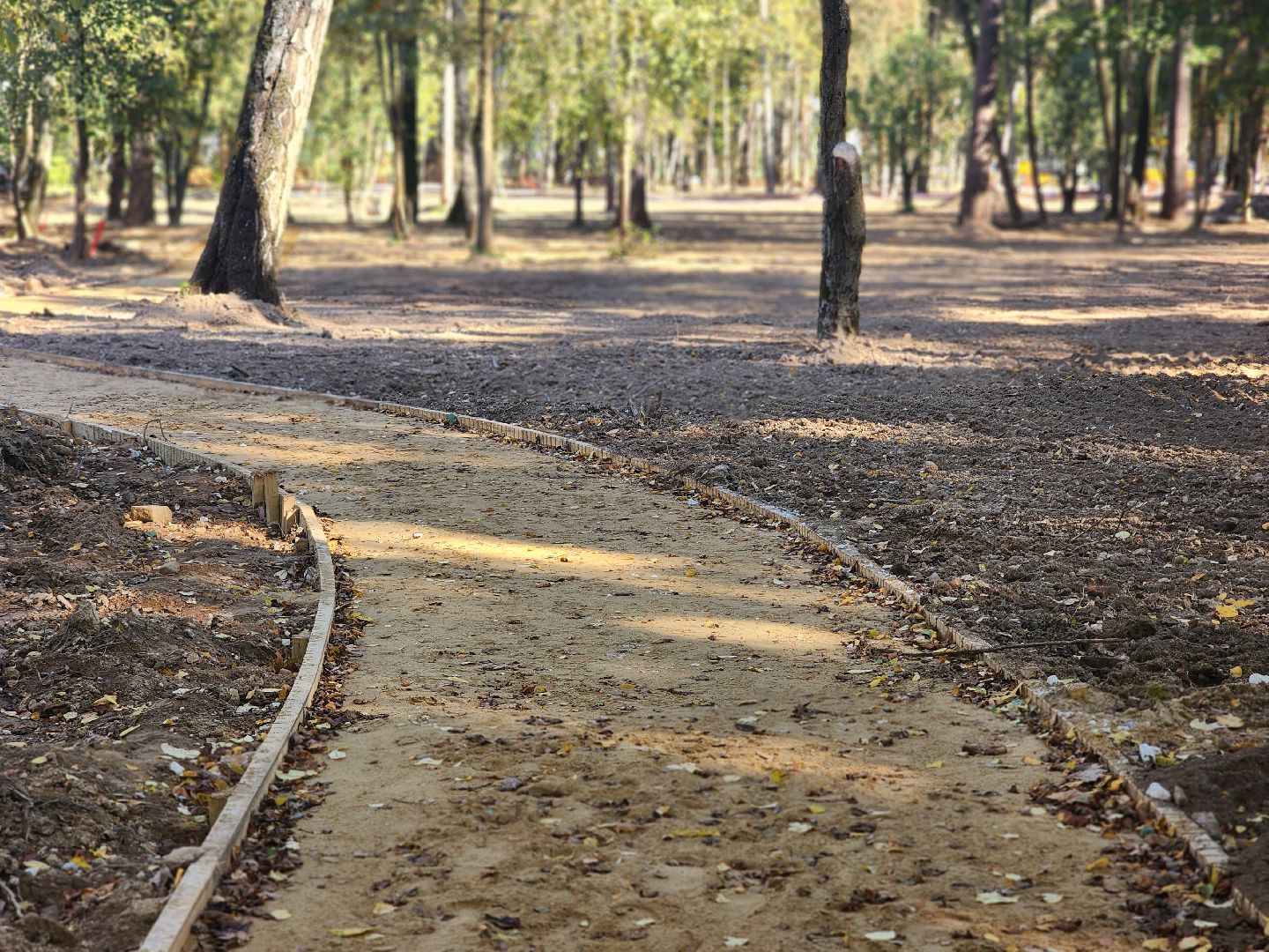 королёв, благоустройство парка папанинская дача, администрация городского округа королев, губернатор московской области,