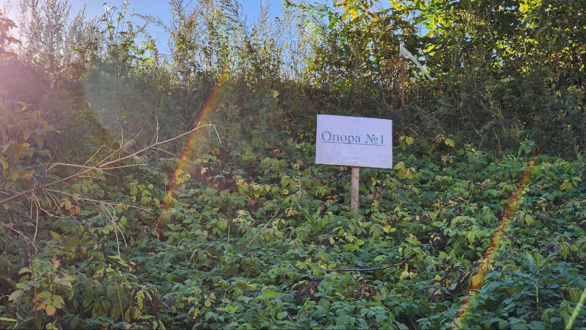 Дмитров, Реконструкция Рогачевского моста, Мостоотряд-90, Минтранс, Губернатор Воробьев,