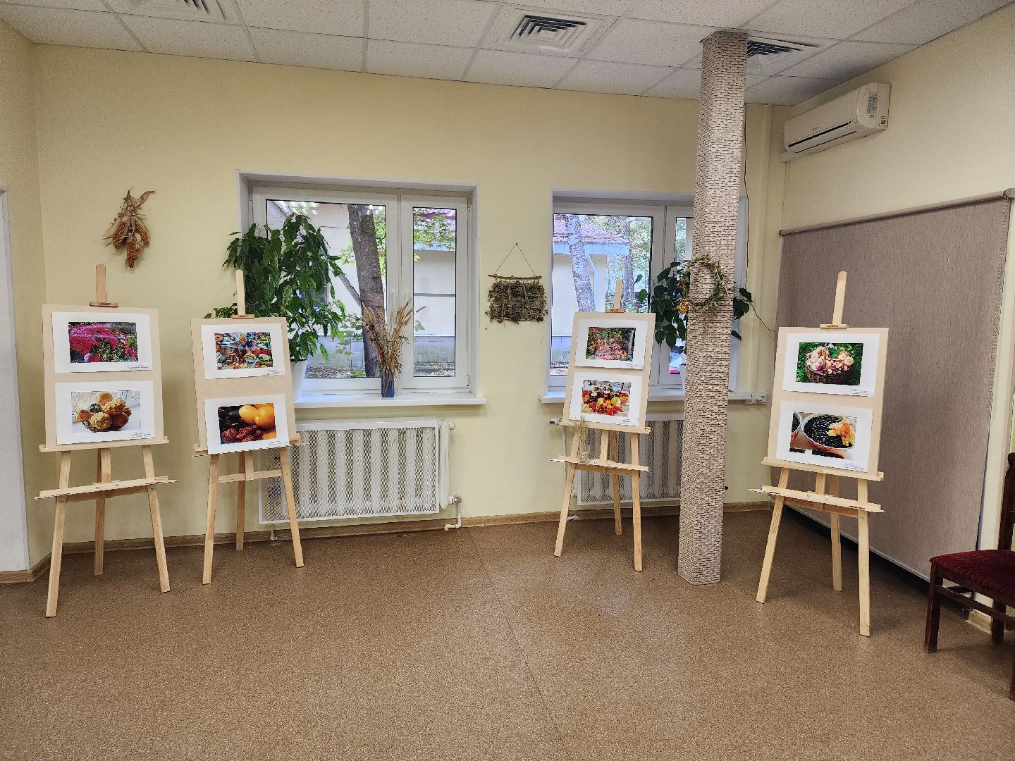 красноармейск, городской округ пушкинский, фотовыставка, активное долголетие,