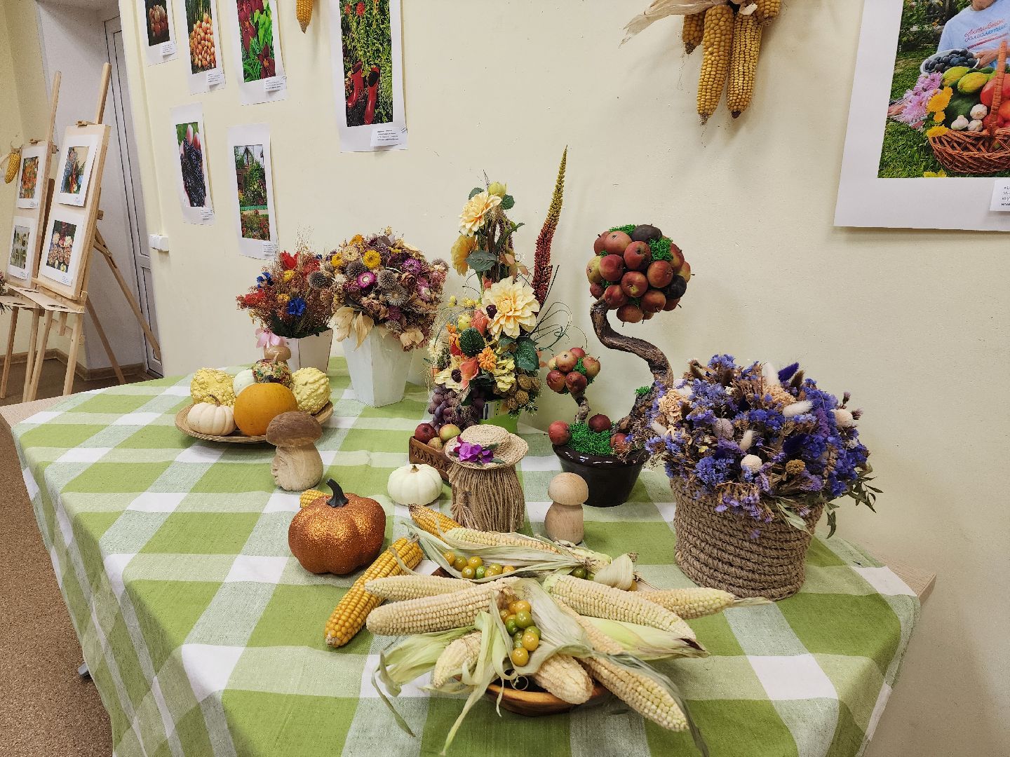 красноармейск, городской округ пушкинский, фотовыставка, активное долголетие,