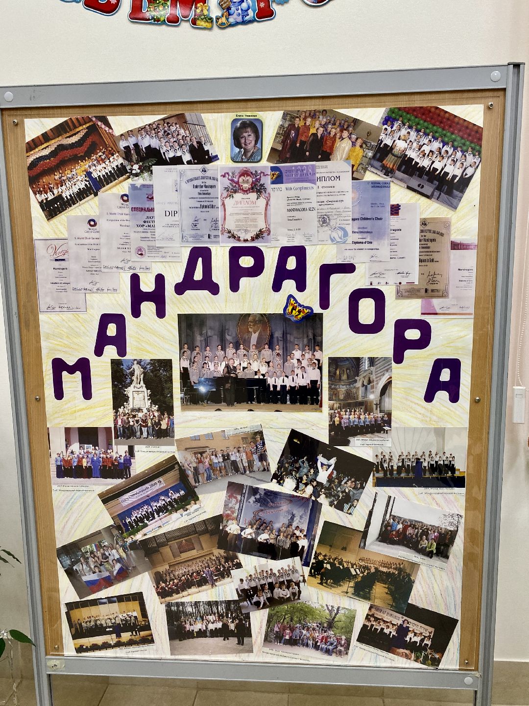 Клин, культура