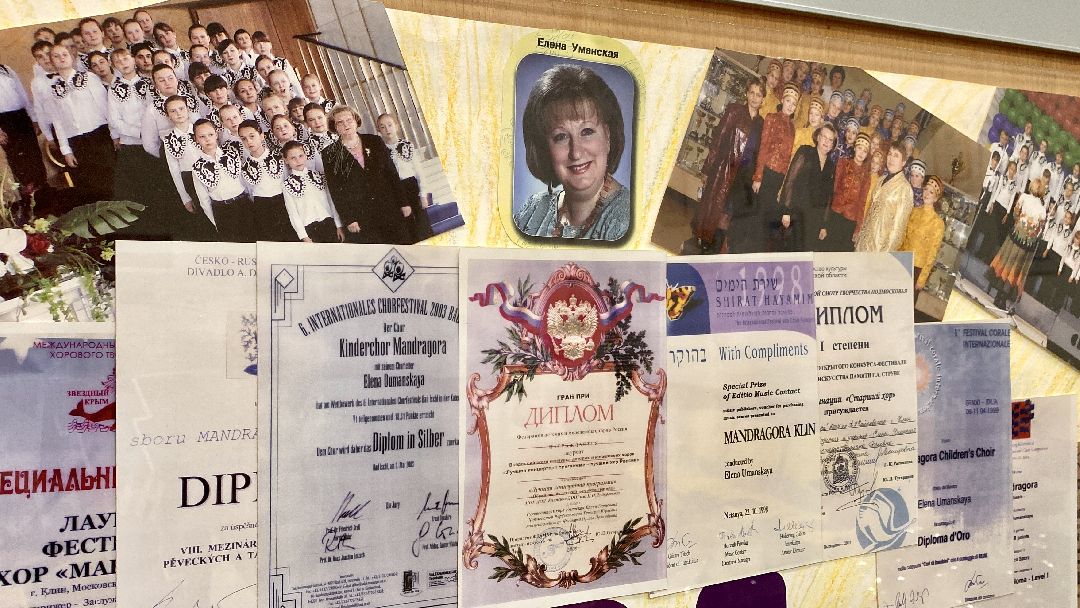 Клин, культура