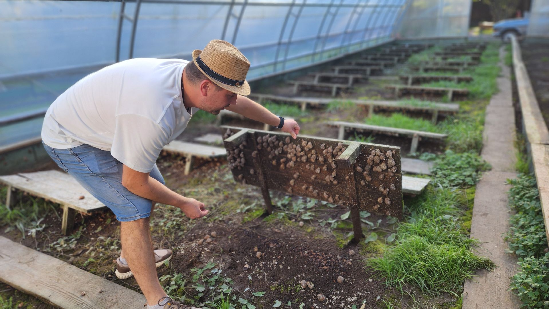 солнечногорск, смирновка, туризм, улиточная ферма,