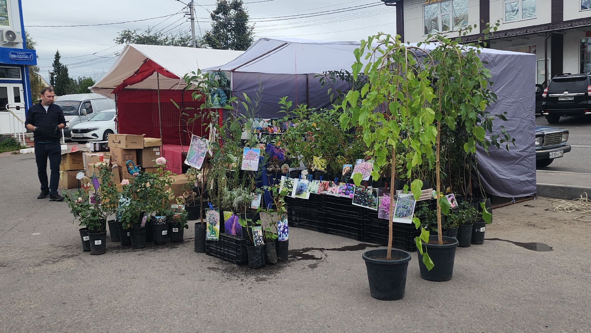 волоколамск, ярмарка товаров,