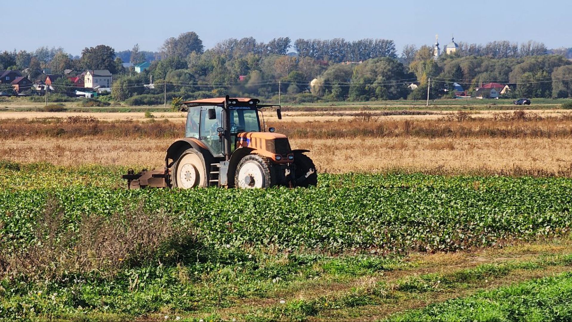 Дмитров, Уборочная кампания, Мосагрофуд, Минсельхоз,
