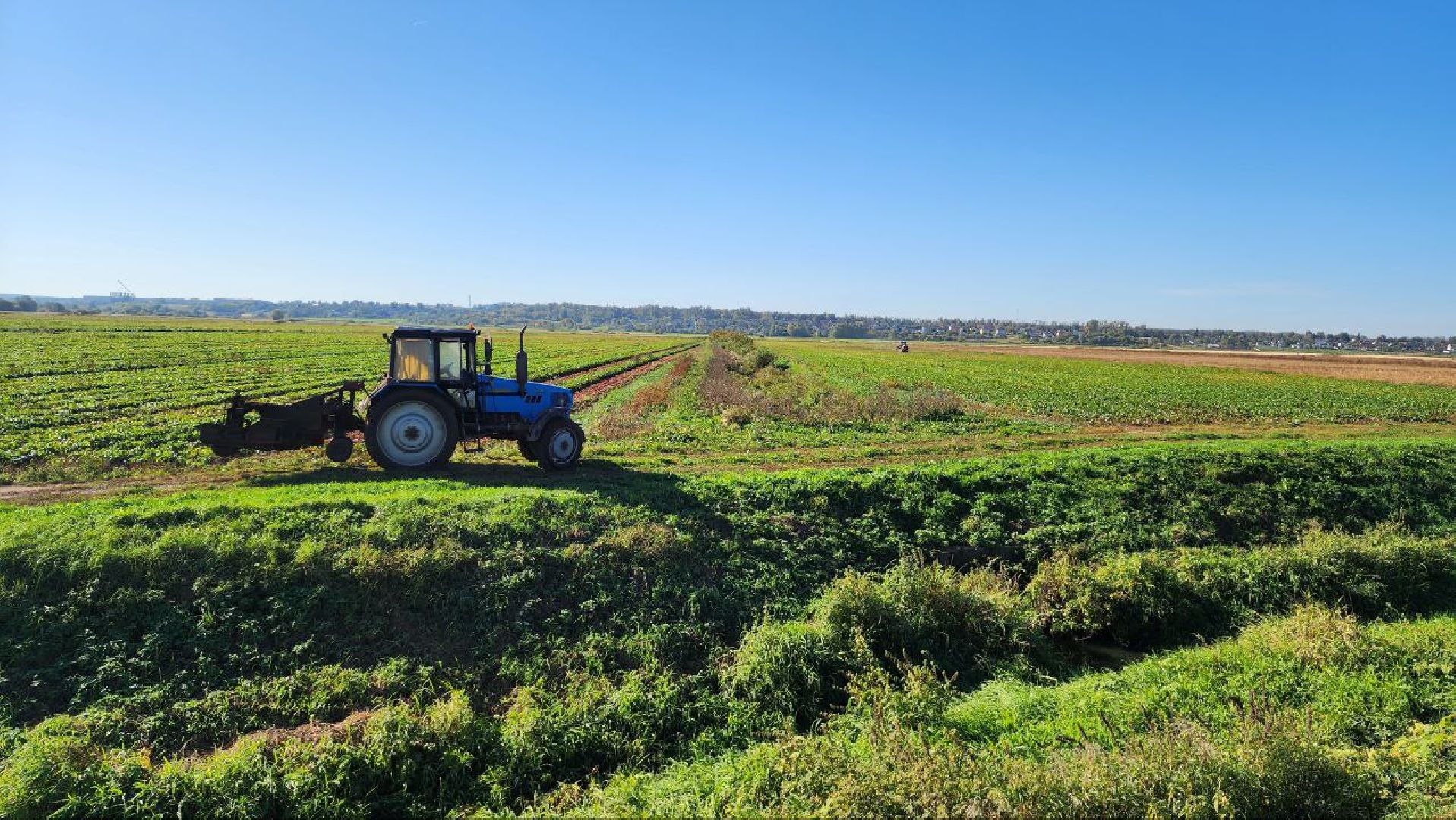 Дмитров, Уборочная кампания, Мосагрофуд, Минсельхоз,